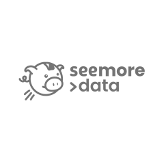 Seemore Data